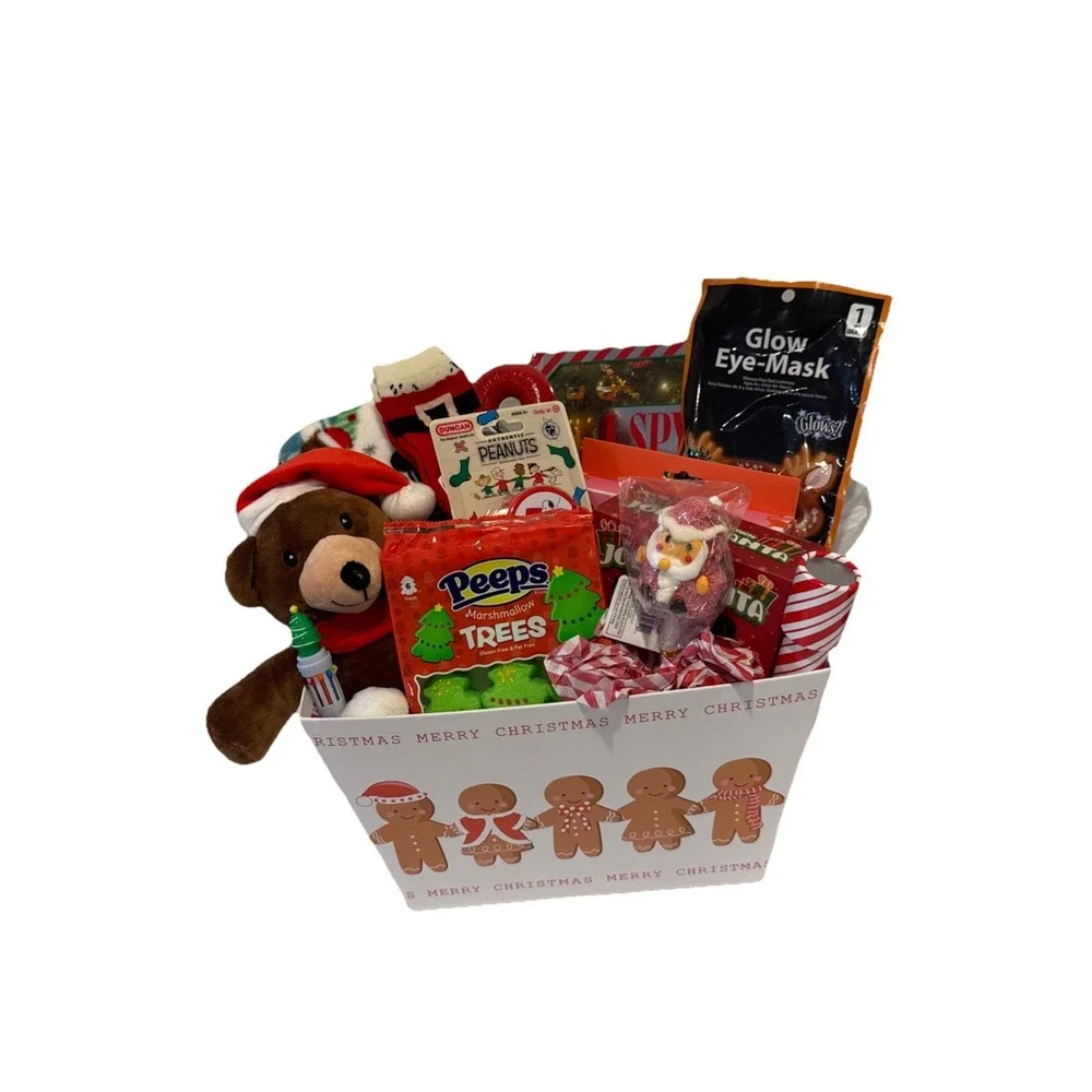 Kids Christmas Gift Basket Teddy Bear Blanket Crafts Candy Toy Holiday Present